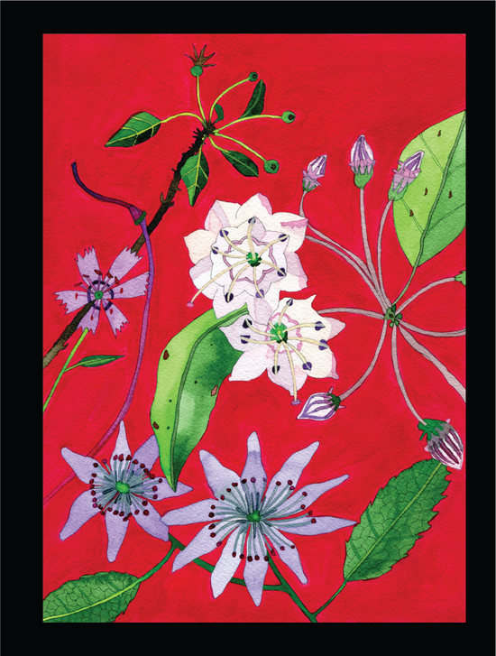 Novel Botanical: 21 - print by Malaika Ross