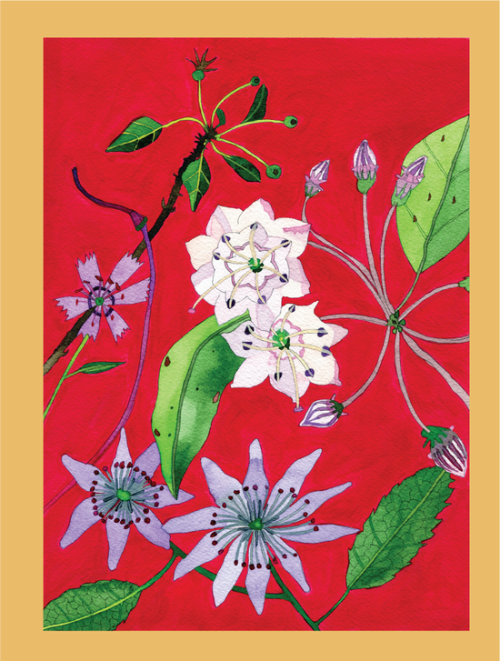 Novel Botanical: 21 - print by Malaika Ross