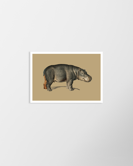 Cargar imagen en el visor de la galería, Hippo – Vintage Restored Print
