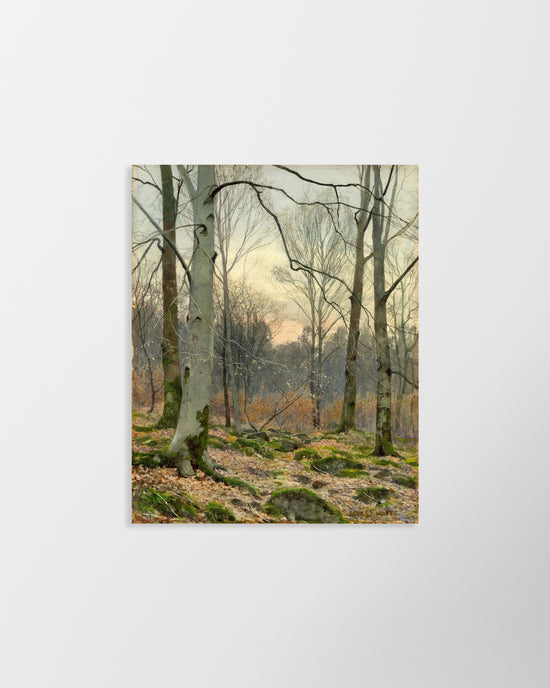 Load image into Gallery viewer, November Evening in a Welsh Wood – Vintage Restored Print

