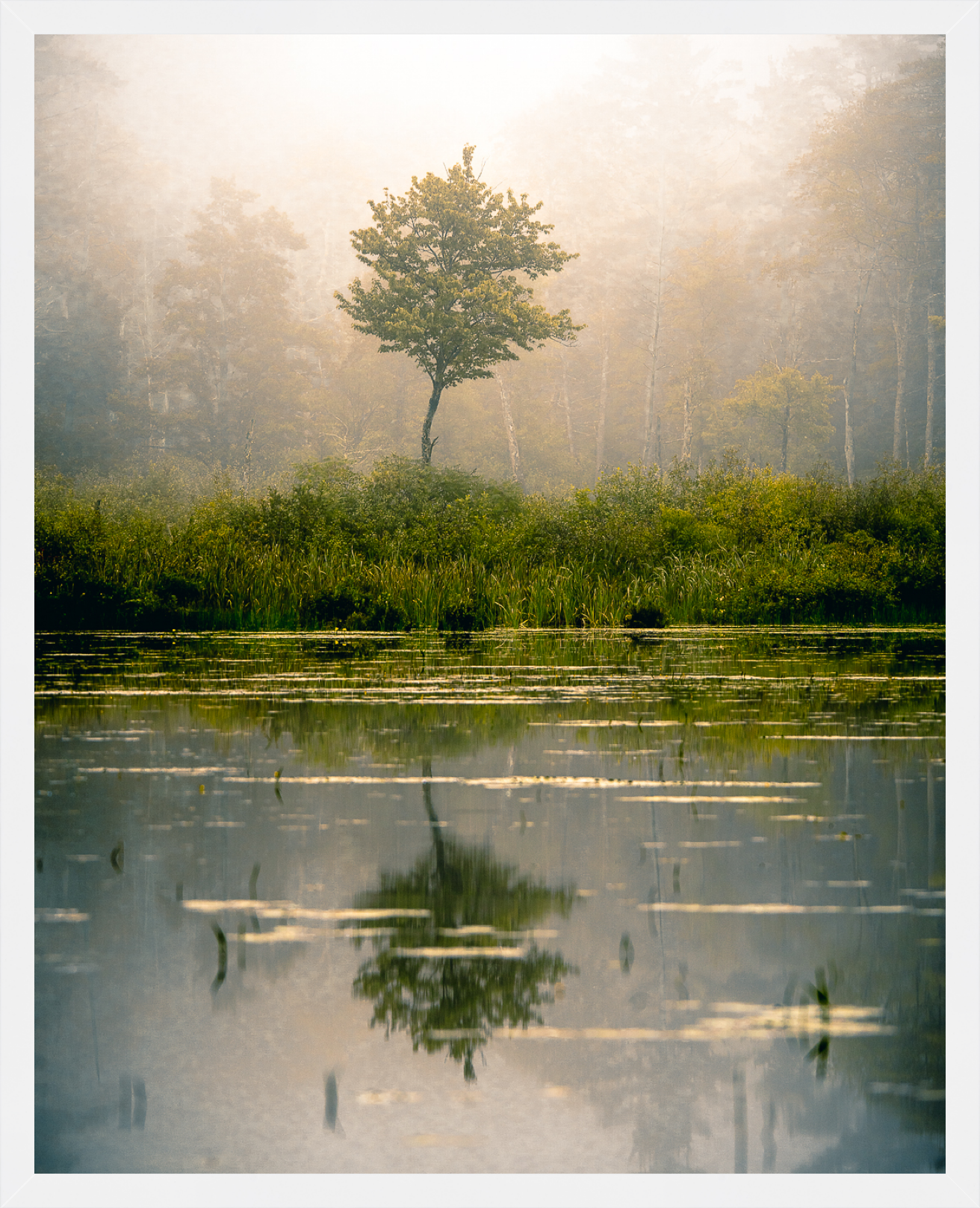 Foggy morning at Lake Wyola by Jamie Malcolm Brown