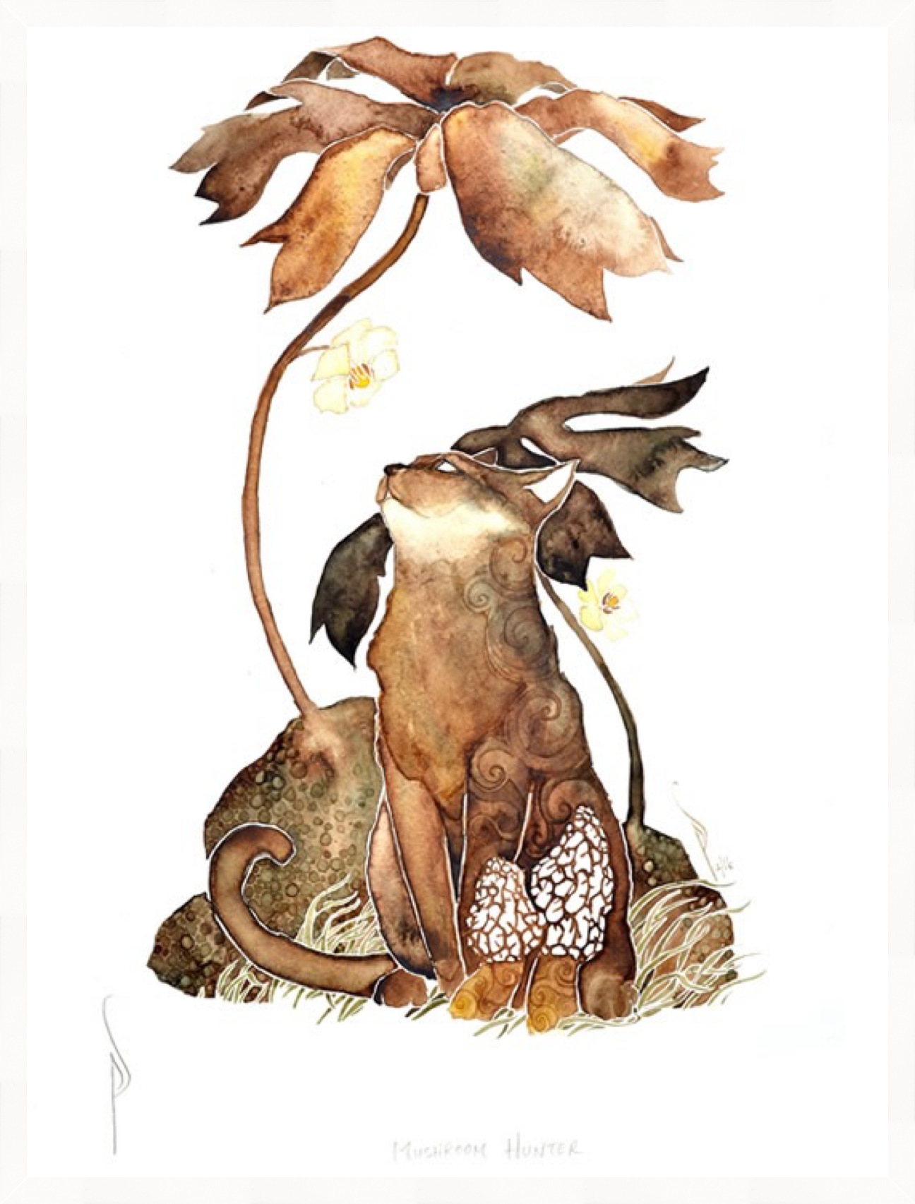 Mushroom Hunter - Print by Pete Sandker