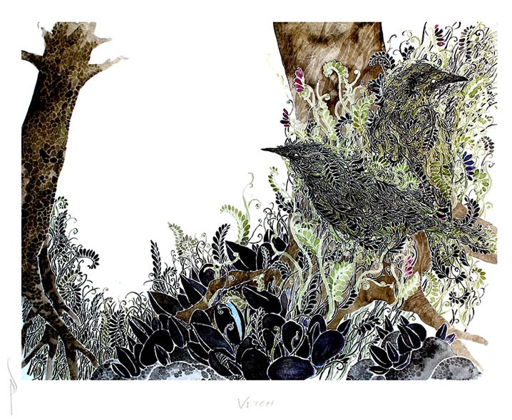 Load image into Gallery viewer, Vetch - Print by Pete Sandker

