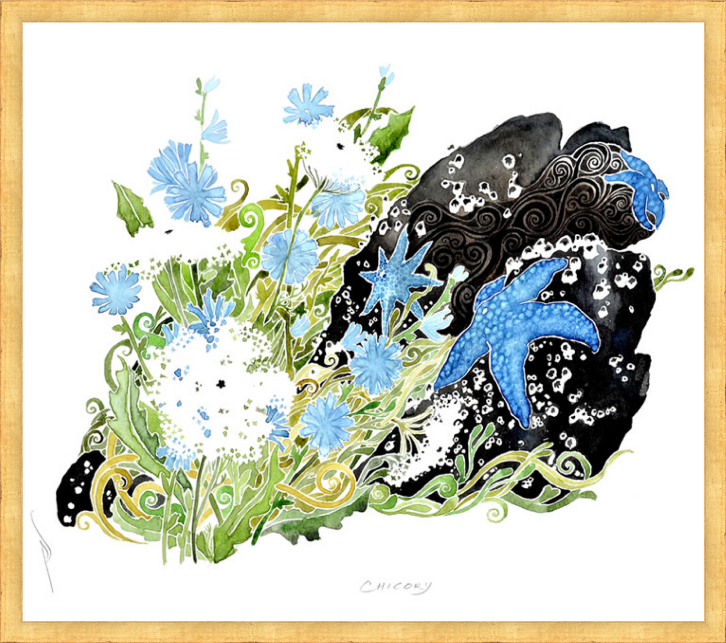 Cargar imagen en el visor de la galería, Chicory- Print by Pete Sandker
