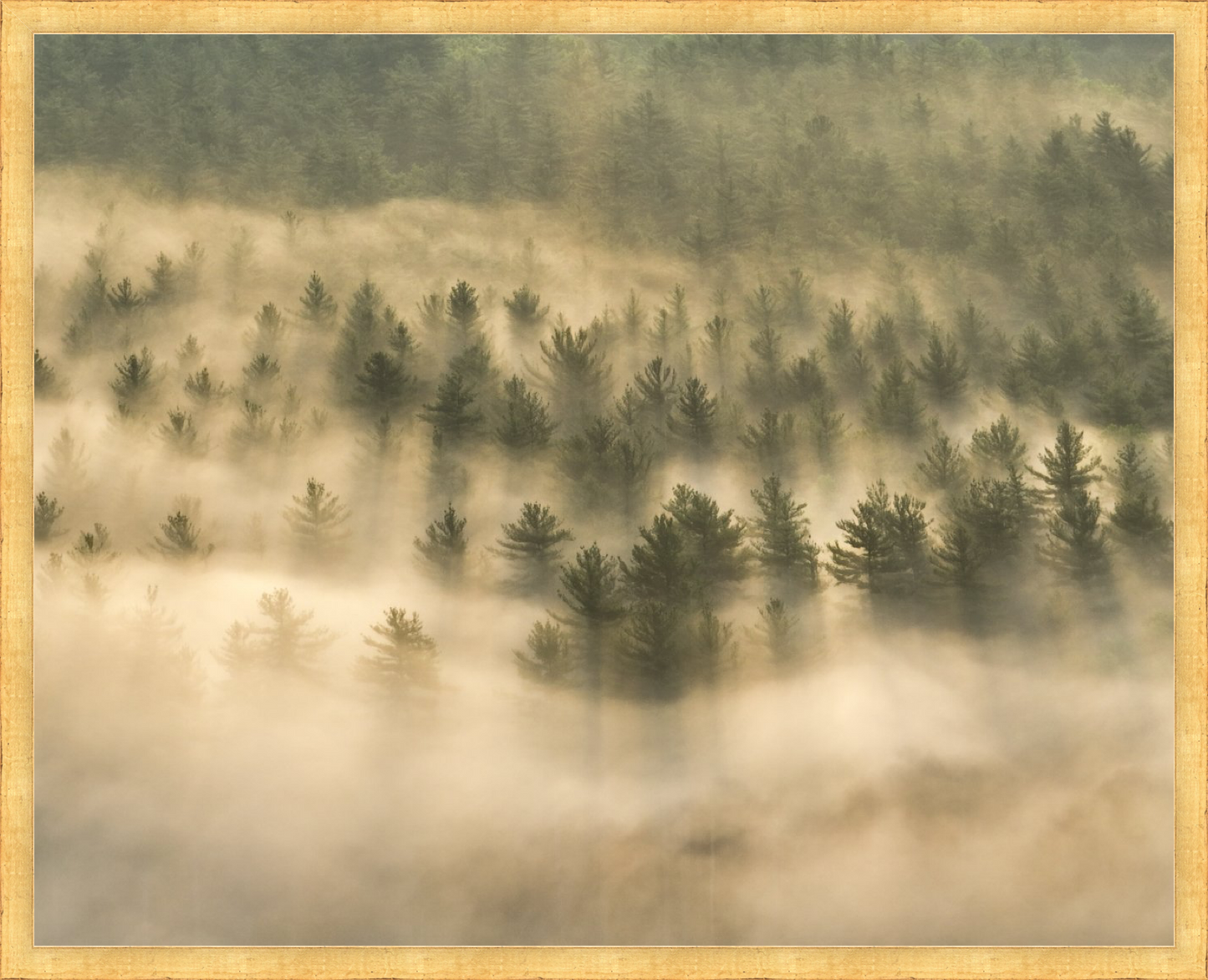 Load image into Gallery viewer, Foggy morning at Whitmore Pond in Deerfield, MA by Jamie Malcolm Brown
