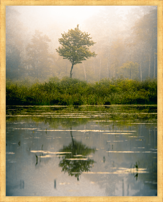 Cargar imagen en el visor de la galería, Foggy morning at Lake Wyola by Jamie Malcolm Brown
