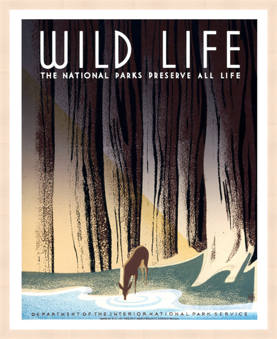 Cargar imagen en el visor de la galería, Wild Life – Vintage WPA Poster
