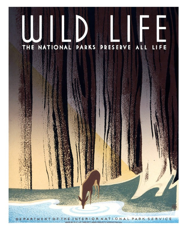 Cargar imagen en el visor de la galería, Wild Life – Vintage WPA Poster
