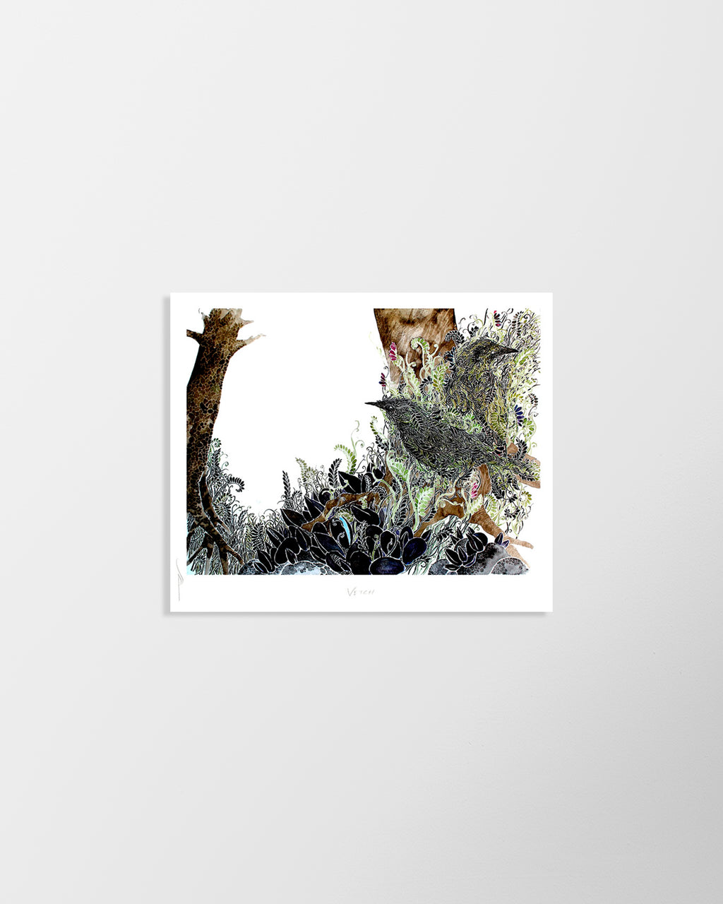vetch_1024x.jpg?v=1660769170
