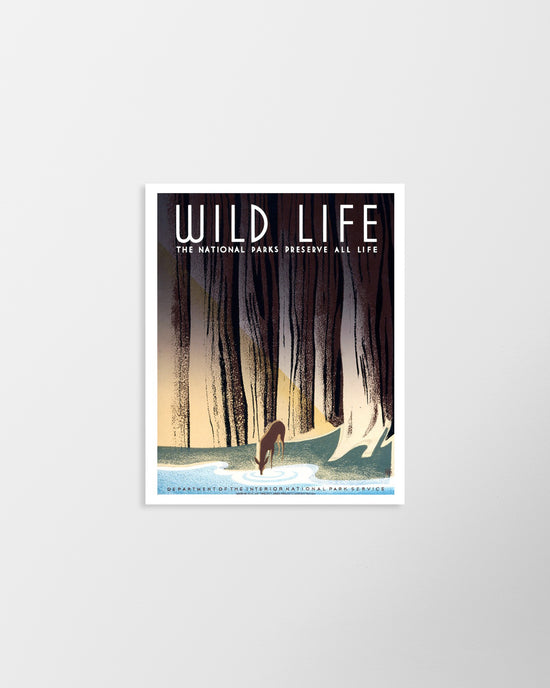 Wild Life – Vintage WPA Poster